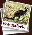 Fotogalerie...